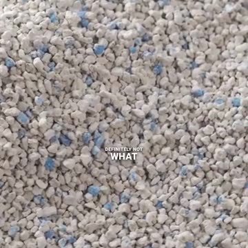 Keep Your Cat Happy Avoid Strong Scents 🐾