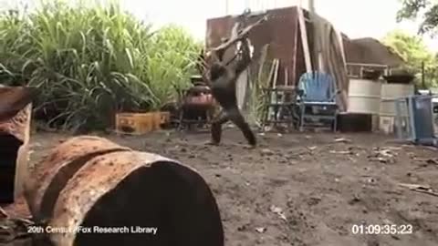 Stupid soldier gives chimpanzee machine gun