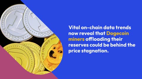 DOGE Miners Cut Reserves By 320M