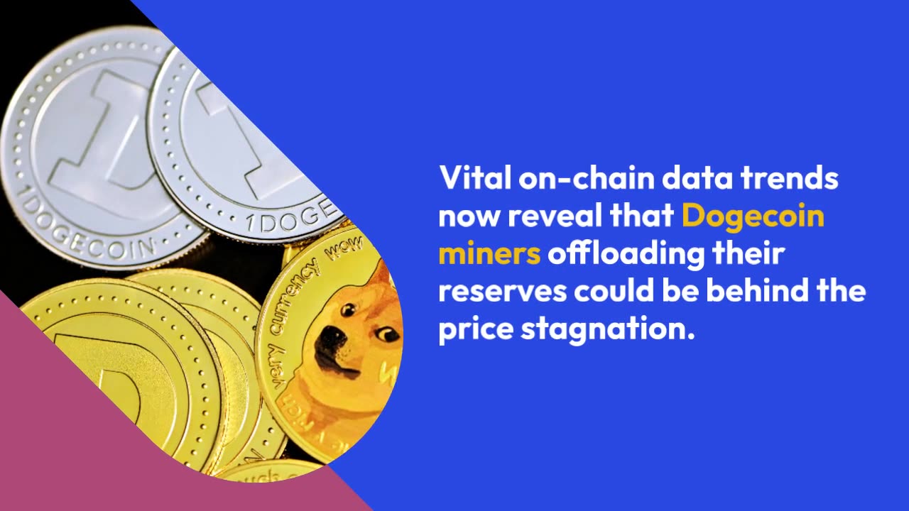 DOGE Miners Cut Reserves By 320M