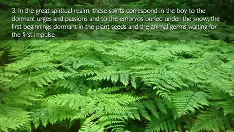 Spirit Life, Soul Life, Angelic Life & Divine Life... The Creator explains ❤️ Secrets of Life