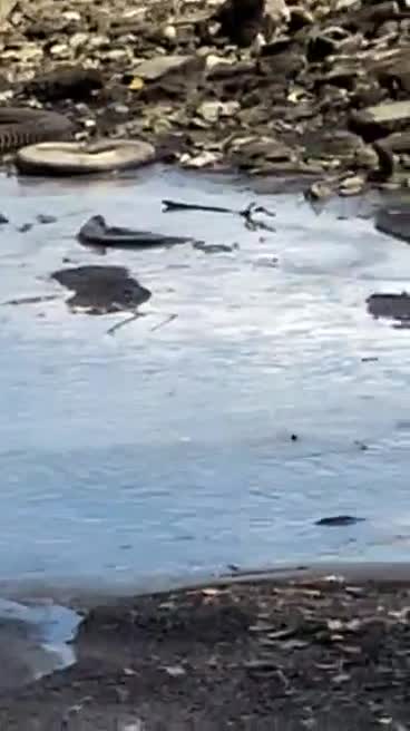 The sinful Kanos love to litter their own country! 😯😮😒