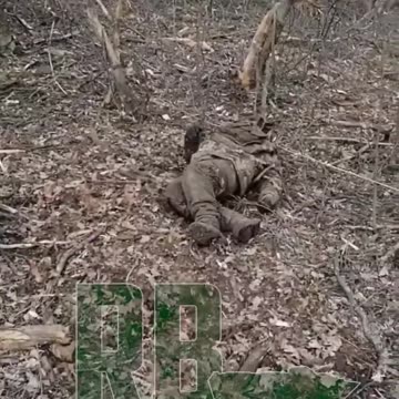 War in ukraine Donbass Bakhmut