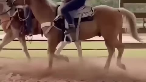 Clips I Found On Internet Part11