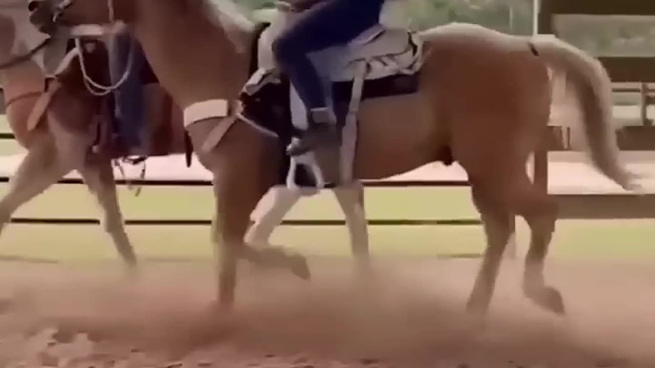 Clips I Found On Internet Part11
