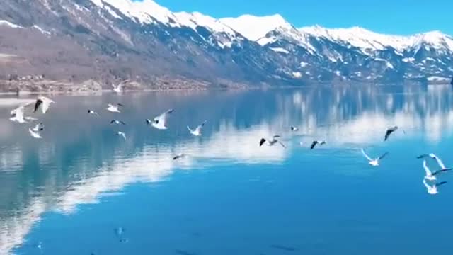 Good mountains, good water, good scenery