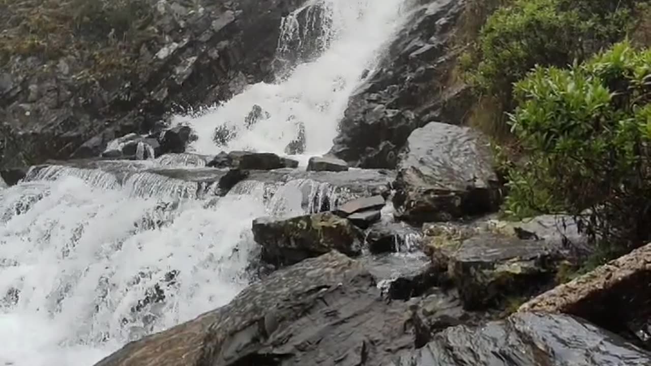 Bolivia - La Paz, Lagoon Hinchumuruni (Pongo)