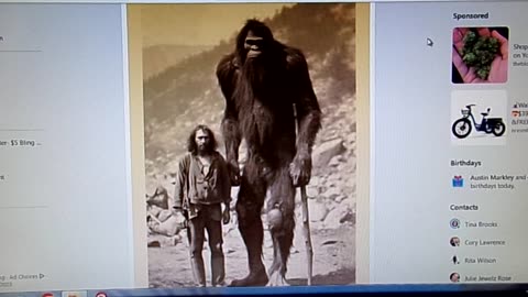 Photo of Giant Bigfoot: