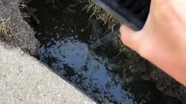 POV: afraid of sink holes and found a sink hole in my yard.