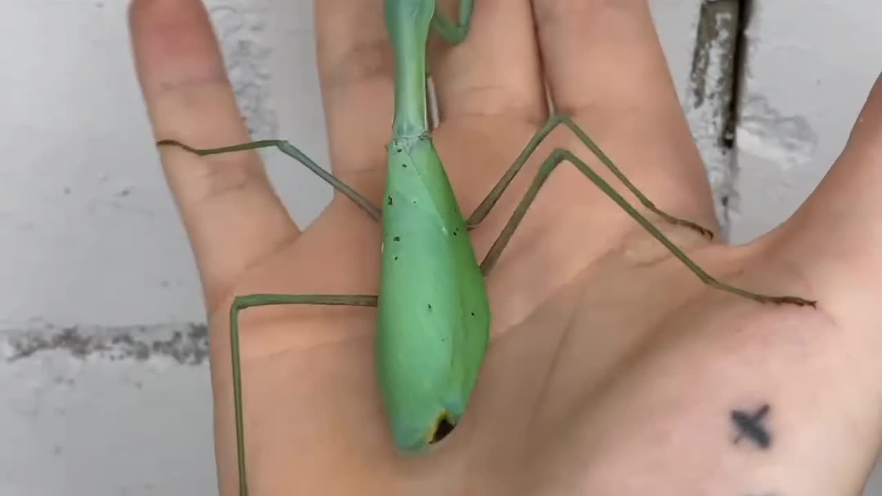 What is this 😯🤯😯😯🤨👉😈