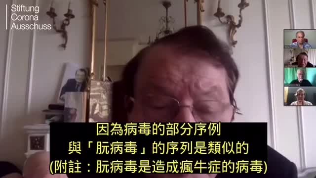 關於刺突蛋白和朊病毒的更多信息 蒙塔格尼耶 (Luc Montagnier): Video (3)