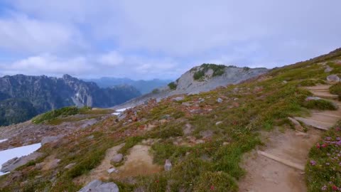 Mount Rainier National Park - Nature Relax Video, Summer Scenery