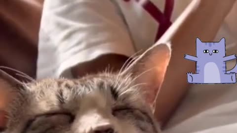 funny cat https://areebacute57.blogspot.com/2023/02/how-to-make-living-from-youtube.html