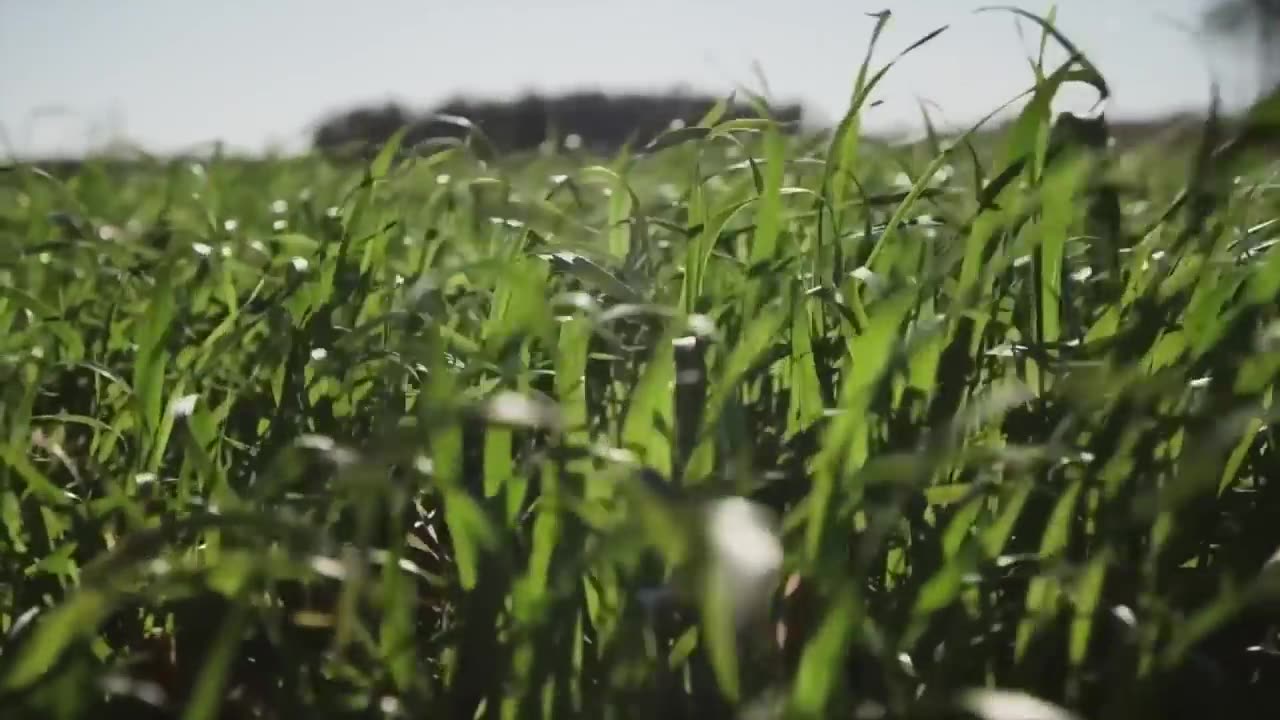 Uruguay: Feel Nature (1 min)