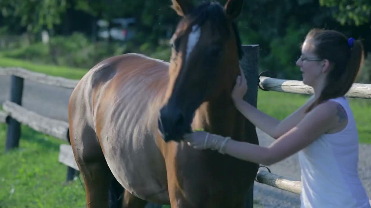 Young woman playing with horse on a ranch