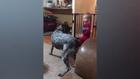 viral cute babies playing with dogs