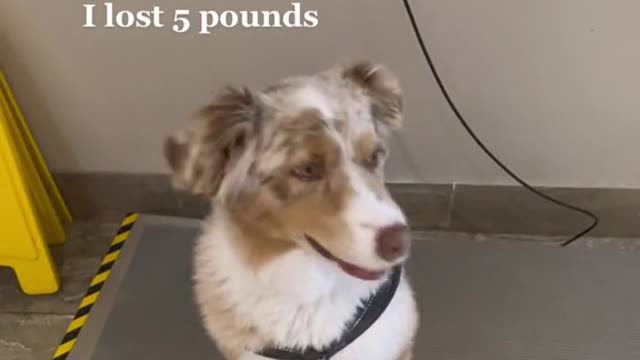 please tell me I lost 5 pounds please tell me I lost 5 pounds