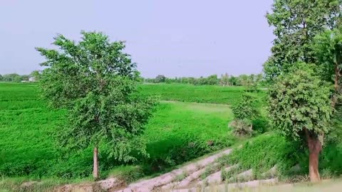 My Village Natural Beauty