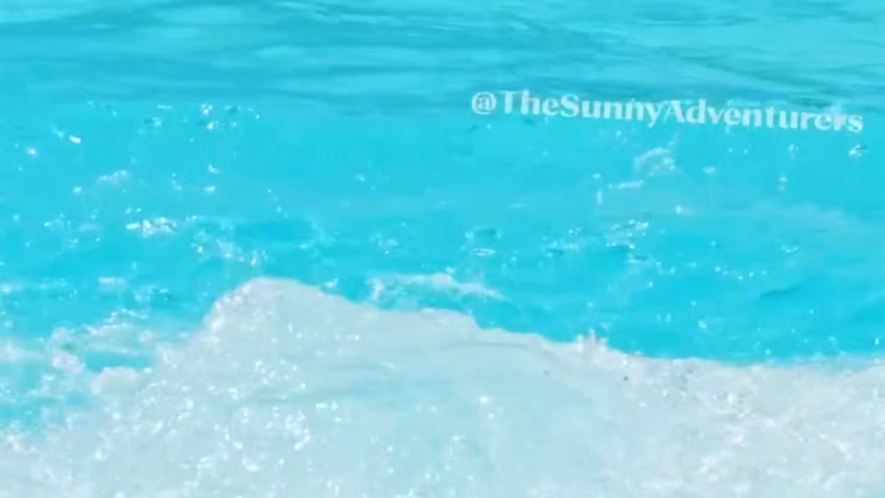 Swimming or flying