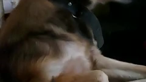 cute