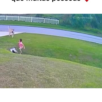 There is no loyalty and love greater than theirs