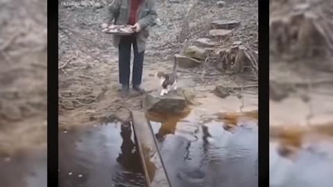 Funny video