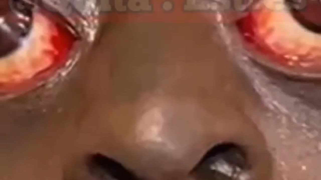 Funny video #reels #viral