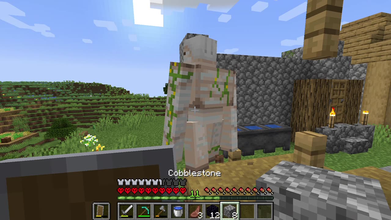 Playing Minecraft Hardcore Until I FINISH IT WITH KILLING 50 SKELETONS #5