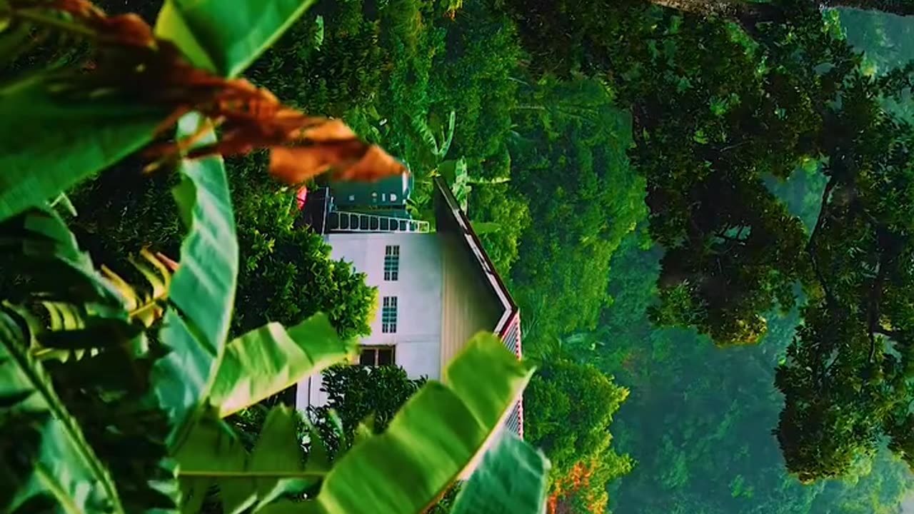 Beauty of earth