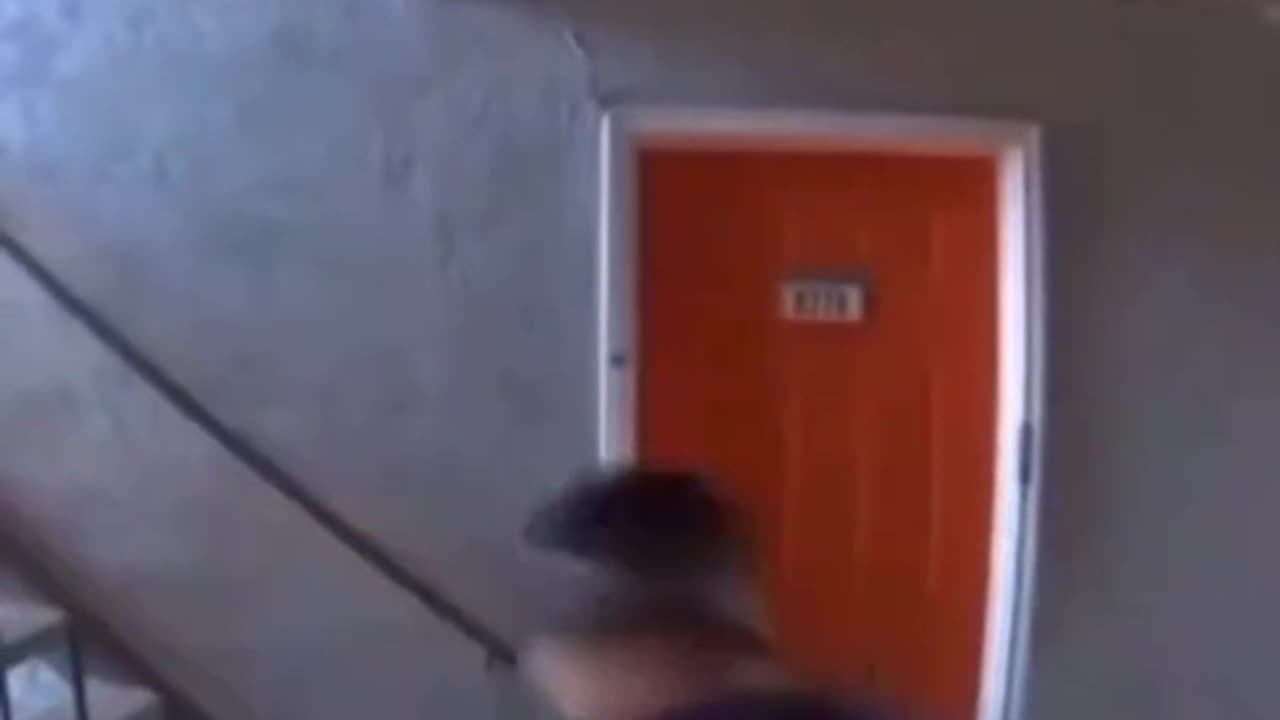 Venezuelan Gangsters Trying to Bust Down Apartment Door Get Shot