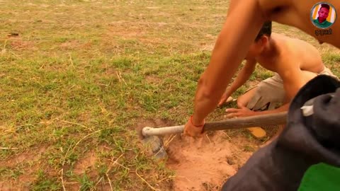 Catching Animals for make a cooking foods