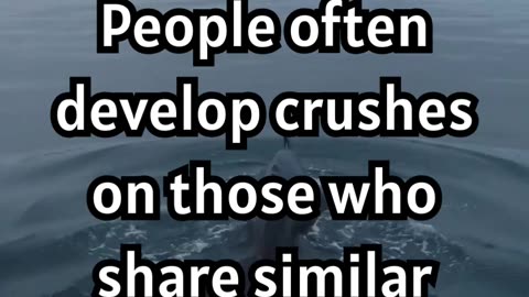 Crush & Music Taste