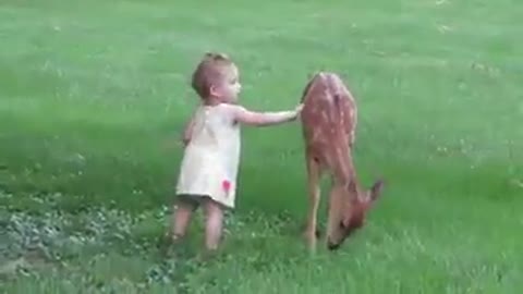 LITTle GIRl BEFRIENDS A BABY DEER.