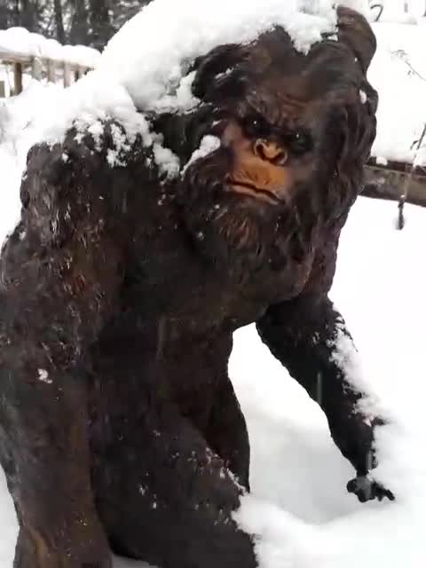 SAVE SASQUATCH, TRUE THE VOTE