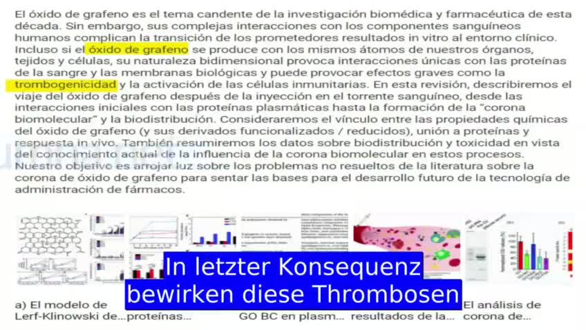 Aus https://t.me/wahreOffenbarung
