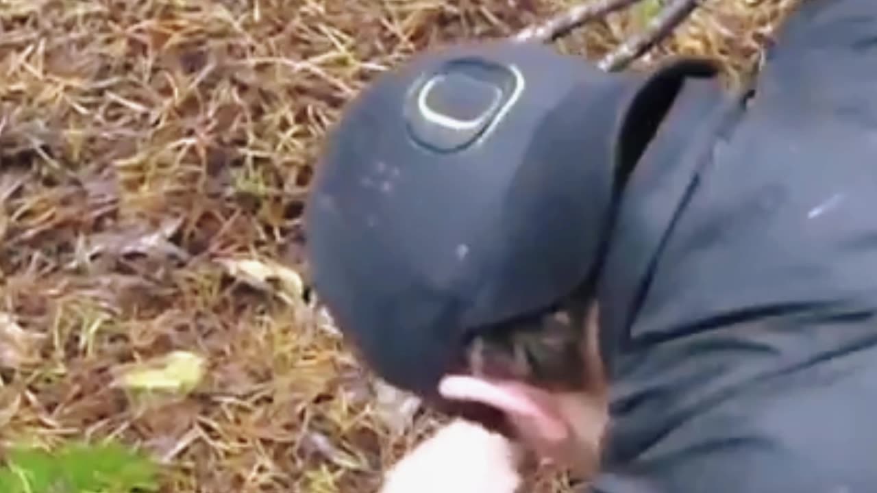 Hunting Down the King Bolete Mushroom in Oregon