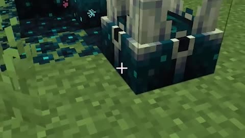Busting Minecraft Myths to Find the Truth! (part 26)