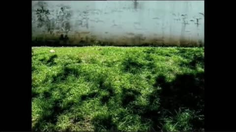 Funny European Commercials