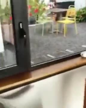 Honey There's Lava Coming Through The Windows 🟠⚪🟣The NPC Show