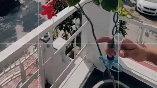 creative photography idea #shorts #photography #tiktok #viralshorts