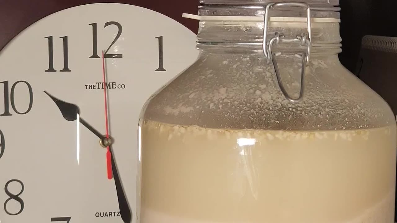 Makgeolli yeast fermentation 10 days 180 times faster. 막걸리 만들기 10일차. 술이 익어가는 시간 효모 여행 180배속