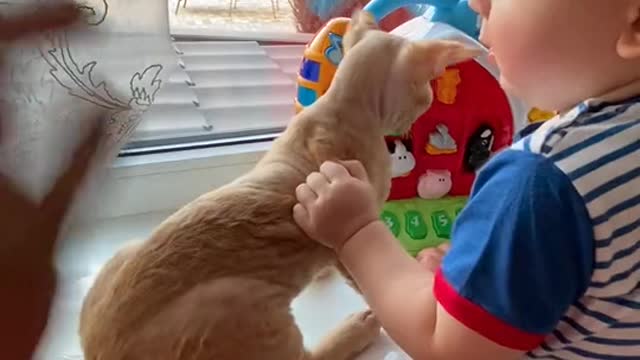 The child is playing with the cat