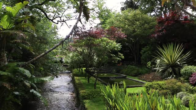 Quite Watercourse with nature beauty around