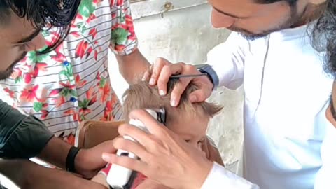 Crying Baby Cutting by Azad Hair Salon