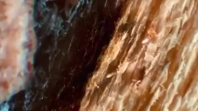 What would it be like if you were to enlarge something infinitely?