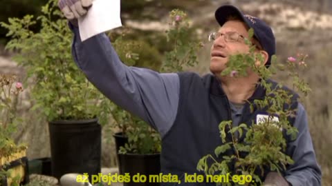 DR DYER PROMĚNA