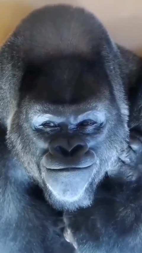 News Break: Good Morning. Admin Reveal