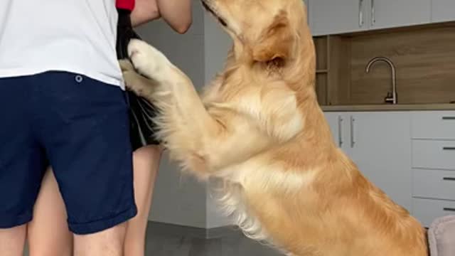 This Is What My Dog Does When I Hug My Boyfriend