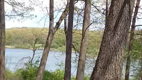 Beauty, Nature and a Lake