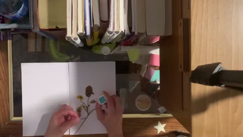 Pressed Flowers